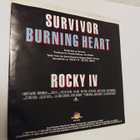 Surivor - Buning Heart 7'' vinyylisinkku - pikkukuva 2