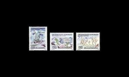 Grönlanti 205-7 ** Kukkia (1990)