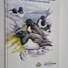 The status of marine birds breeding in the Barents Sea Re... - pikkukuva 1
