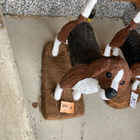 MOOTTORISAHAVEISTOS-KOIRA-BEAGLE - pikkukuva 3
