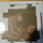 Pixies: Doolittle (LP) - pikkukuva 2
