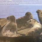 KERÄNEN - LAPPALAINEN: HYLKEET - pikkukuva 2