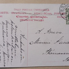 Turku, mies ja hevonen sekä koira Hjortenin talolla, p. 1907 - pikkukuva 2