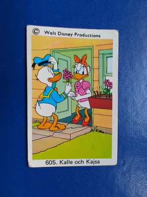 WALT DISNEY PURKKAKUVA N:o 605
