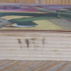 P. G. Wodehouse: Pulmallinen viikonloppu, Wsoy 1960. 242 s. - pikkukuva 4
