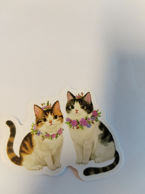 Kissa tarra.