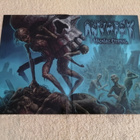 AUTOPSY - Macabre Eternal LP - pikkukuva 3