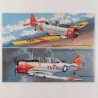 Don Greer ym. : T-6 Texan in Action - pikkukuva 2