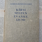 Sören Kierkegaard - Kärsimysten evankeliumi (sid.) - pikkukuva 1