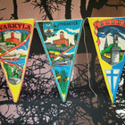 Matkailu viiri Suomesta 1kpl (usea vaihtoehto) - pikkukuva 5