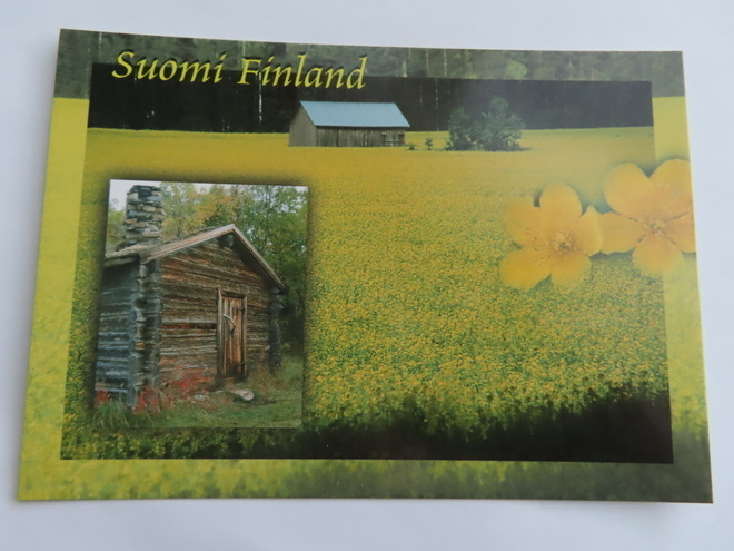 Suomi - Finland  Keltaisena kukkiva pelto