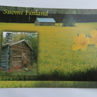Suomi - Finland  Keltaisena kukkiva pelto - pikkukuva 1