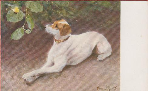 Bruno Liljefors Hundporträtt