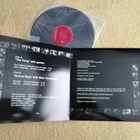 SCHOOL DAYS AND THE THING PRESENTED BY MATS GUSTAFSSON LP - pikkukuva 2