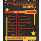 Famous Suberstars n:o 076 DAVID ARQUETTE - pikkukuva 2