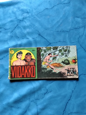 viidakko 6 vsk 6