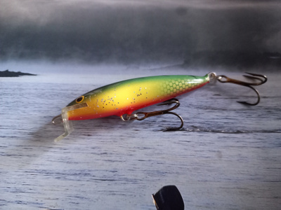 Joonas nutipää