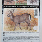 Hirvijahti : hirvieläinten metsästyksen käsikirja - pikkukuva 2