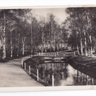 VANHA Postikortti Oulu 1920-l - pikkukuva 1