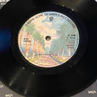 ALICE COOPER: Teenage Lament * Hard Hearted Alice * UK 1973 - pikkukuva 2