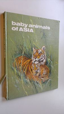 Gilles Saint-Cerere : Baby animals of Asia
