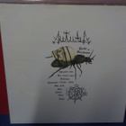 Circle Of Ouroborus - Autuala M-/M- LP - pikkukuva 2