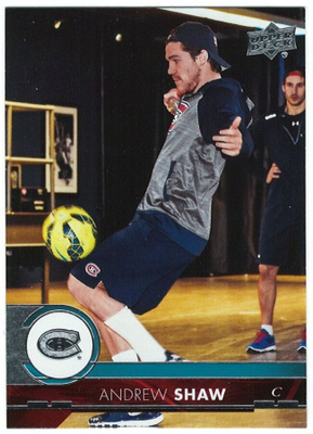 17-18 Upper Deck #100 Andrew Shaw