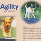 Patrick Holden: Agility askel askeleelta - pikkukuva 3