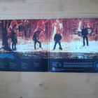 THE GRAVIATORS - THE GRAVIATORS  2 x lp - pikkukuva 3
