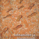 Janne Tienari: Johtaminen ja organisointi globaalissa taloud - pikkukuva 1