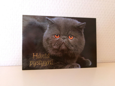 KISSA postikortti