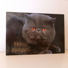 KISSA postikortti - pikkukuva 1