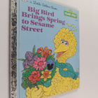 Lauren Collier Swindler : Big Bird Brings Spring to Sesam... - pikkukuva 1