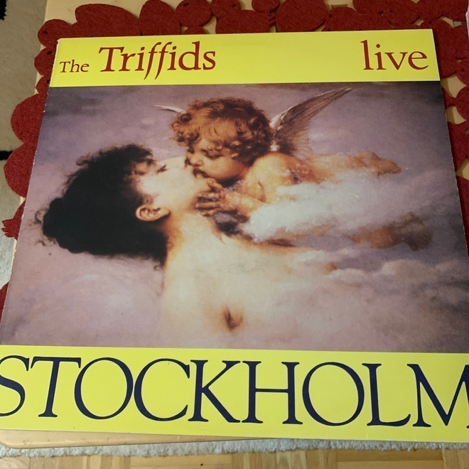 THE TRIFFIDS: Stockholm live  *SWE 1990