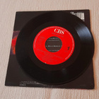 GIGI HAMILTON /Joy&Pain in this wild. Wild world) 655692 7 - pikkukuva 2