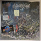 OUTER HEAVEN - REALMS OF ETERNAL DECAY UUSI "SS" LP - pikkukuva 1