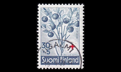 501 o PR mustikka loisto Iisalmi 19.1.59 (1958)