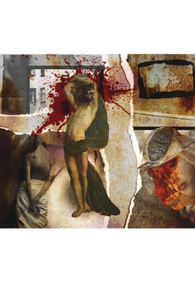 Gas Chamber Renaissance - Craniotomy Of Reign CD