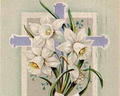 ANTIIKKIKORTTI / Valkeat narsissit ja risti. 1900-l