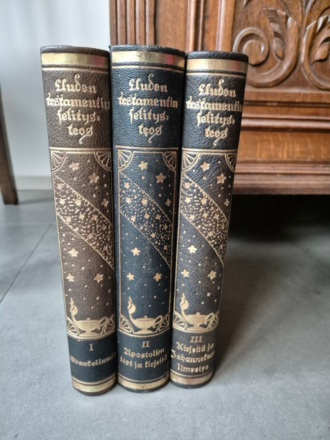 Uuden Testamentin selitysteos I-III (v. 1919)