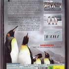 dvd, Pingviinien maailma, 2 dvd * UUSI / New [luontoelokuva, - pikkukuva 2
