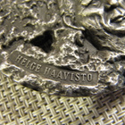 Helge Haavisto mitali 2.8. 1980 /Eila Hiltunen. - pikkukuva 2