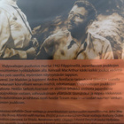 (Uusi) Viidakkosissit (1945) John Wayne - pikkukuva 2