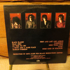 sisters of mercy lp: first and last and always 1985 - pikkukuva 2