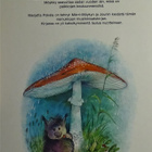Marjatta Pokela : Mörri-Möykyn suvi - W+G  1.p 1983 - pikkukuva 2