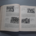 Suomalaisia kantakirjaoriita, Kivi 1946 - pikkukuva 4