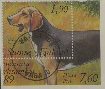 1989 suomen ajokoira Vaasa -89 loisto