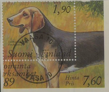1989 suomen ajokoira Vaasa -89 loisto