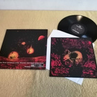 DEAD IN THE WOODS - The Sign Of The Son Of Man LP - pikkukuva 2
