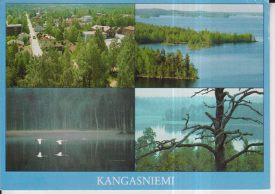 Kangasniemi . sommitelmakortti , e39